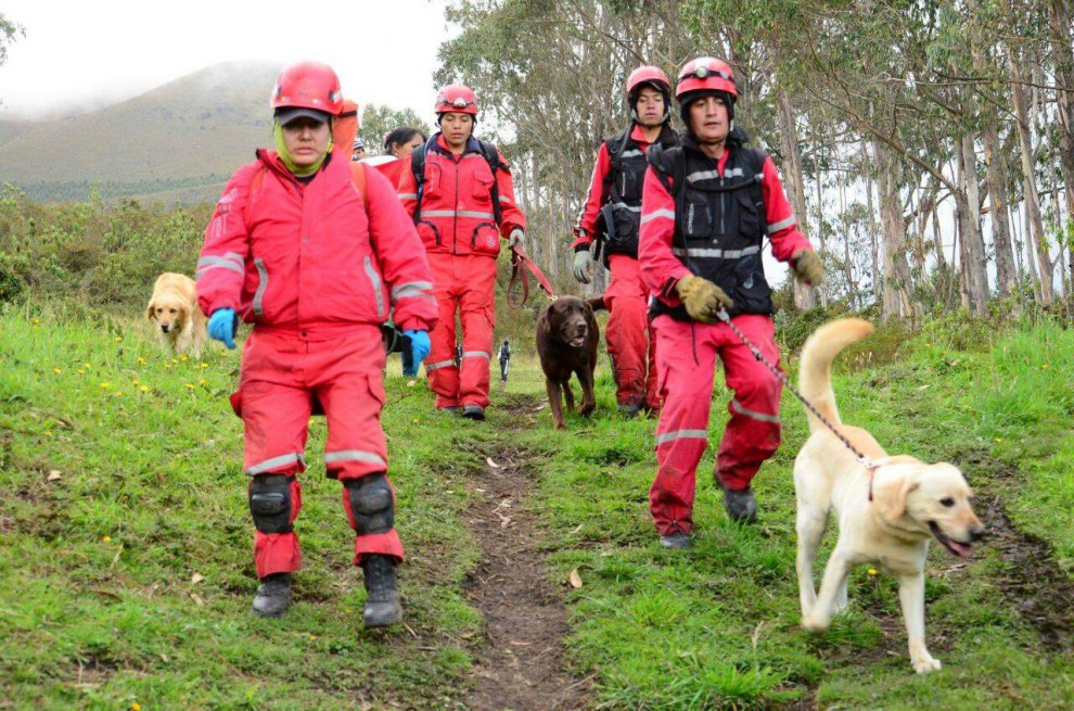 Фотография: В Эквадоре пес спас 7 человек из-под завалов и умер от обезвоживания №7 - BigPicture.ru