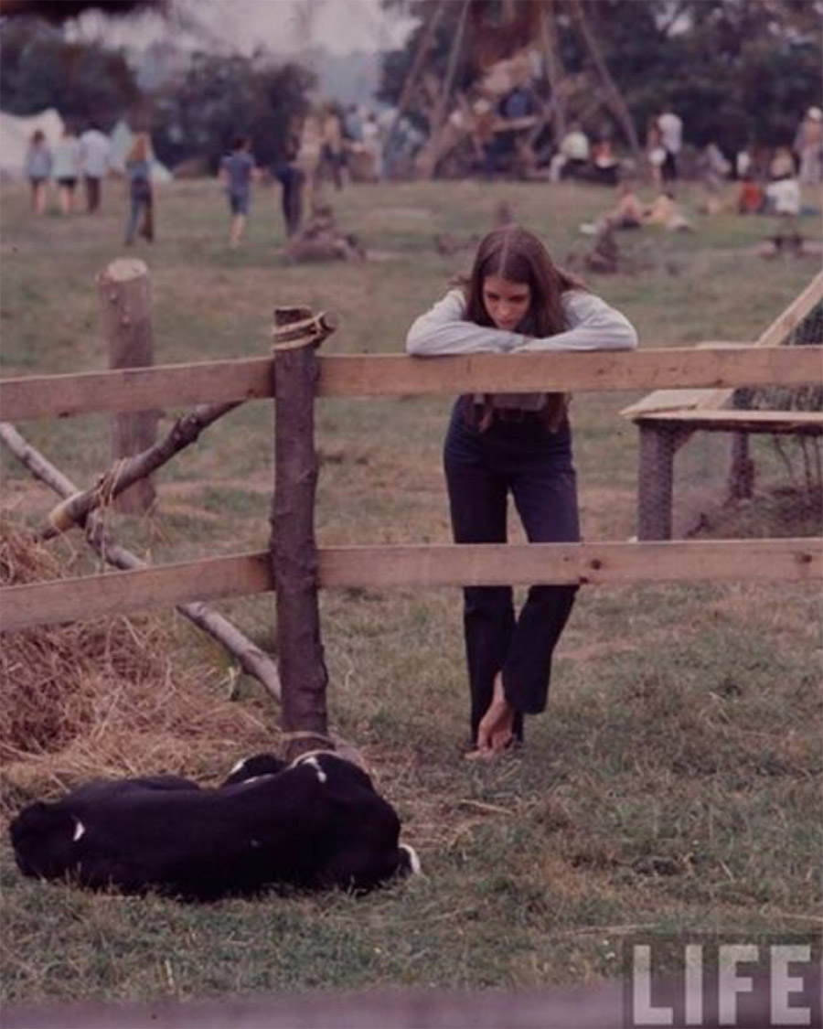 Фотография: Какими были женщины фестиваля Woodstock №20 - BigPicture.ru