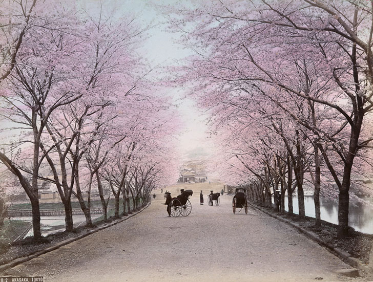 Фотография: Краски Японии XIX века глазами американского фотографа №7 - BigPicture.ru