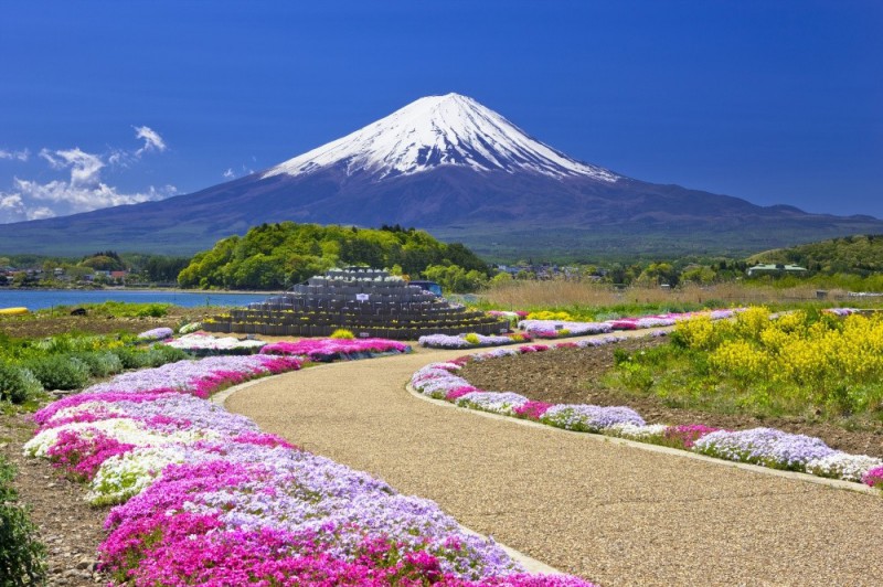 Фотография: В Японии весной цветет не только сакура №1 - BigPicture.ru