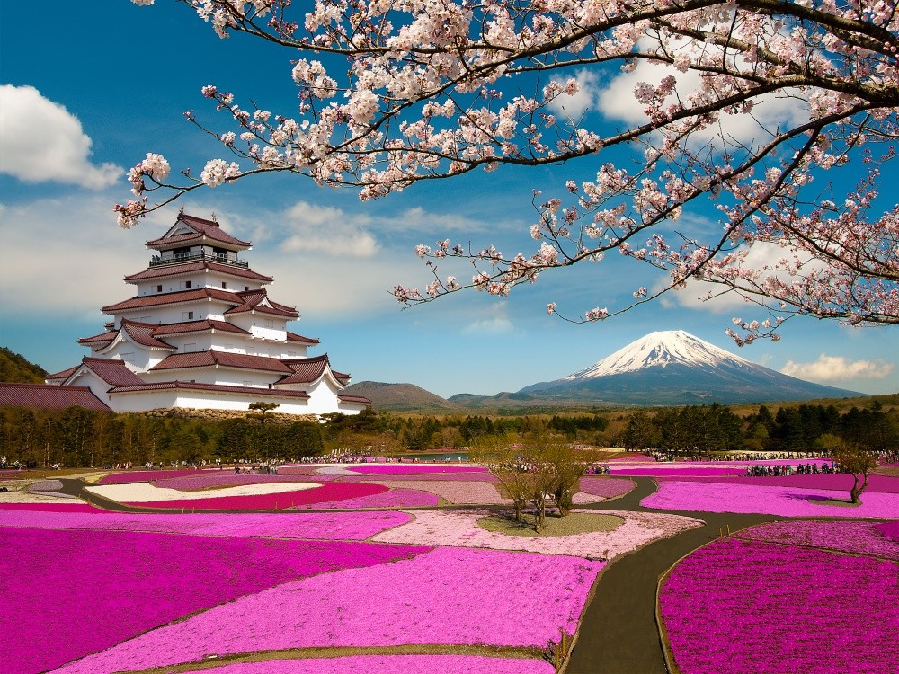 Фотография: В Японии весной цветет не только сакура №11 - BigPicture.ru