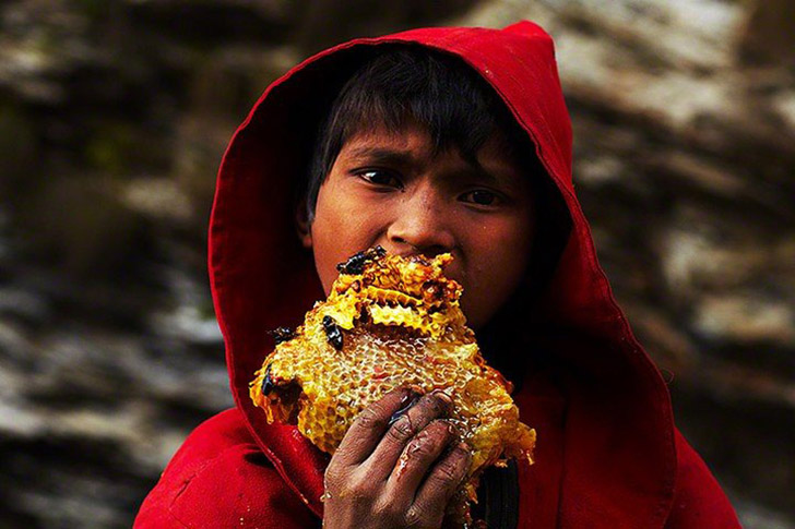 Как добывают сладкое золото Непала