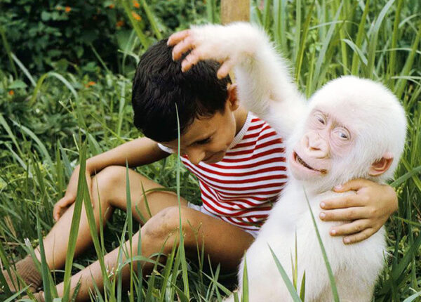 Капризы природы: животные-альбиносы