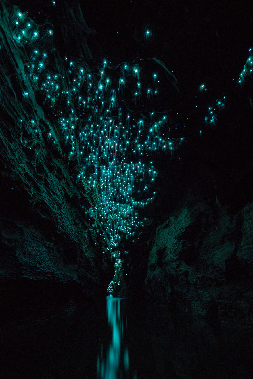Фотография: Фотограф снял звездное небо из светлячков в новозеландской пещере №11 - BigPicture.ru