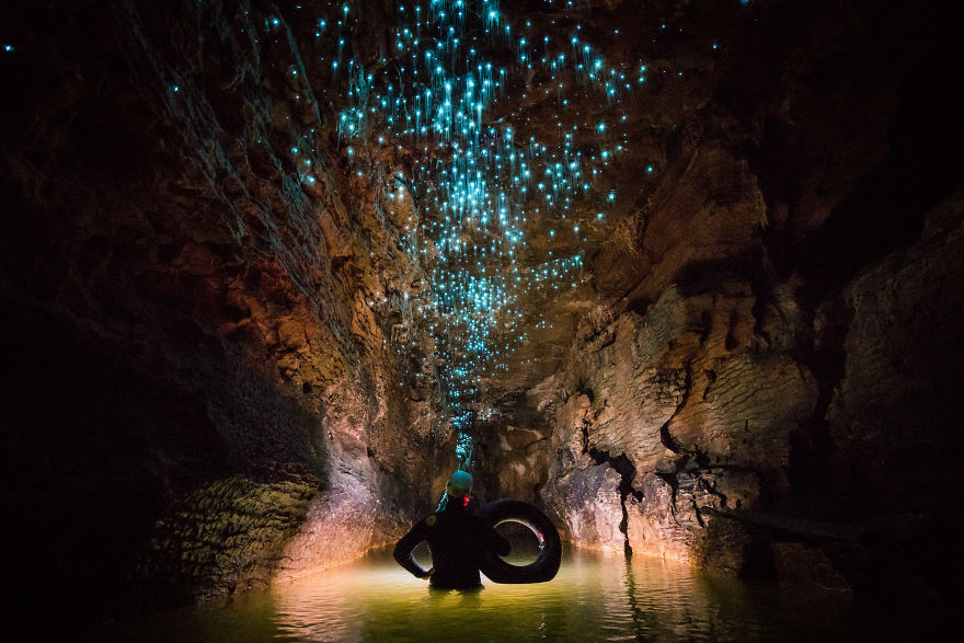Фотография: Фотограф снял звездное небо из светлячков в новозеландской пещере №13 - BigPicture.ru