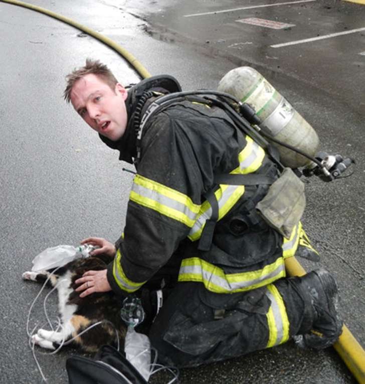Фотография: Отважные пожарные, рискнувшие жизнью ради спасения животных №15 - BigPicture.ru