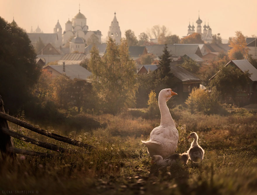 Фотография: 17 сказочных деревушек, куда вы можете сбежать от серых будней №17 - BigPicture.ru