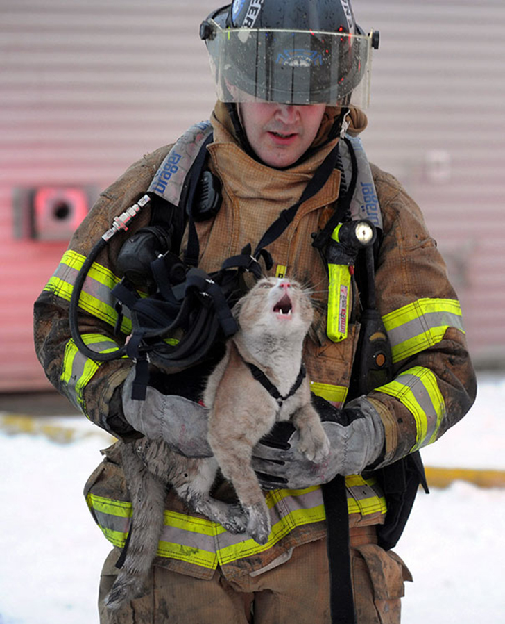Фотография: Отважные пожарные, рискнувшие жизнью ради спасения животных №17 - BigPicture.ru