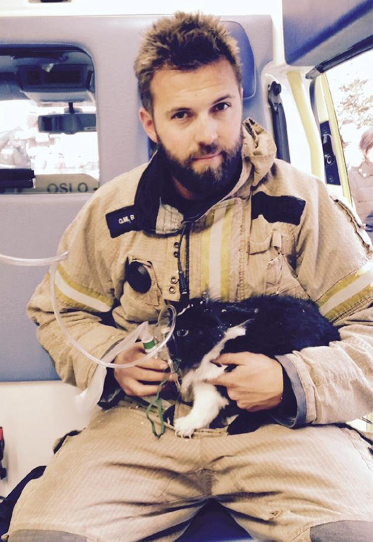 Фотография: Отважные пожарные, рискнувшие жизнью ради спасения животных №18 - BigPicture.ru