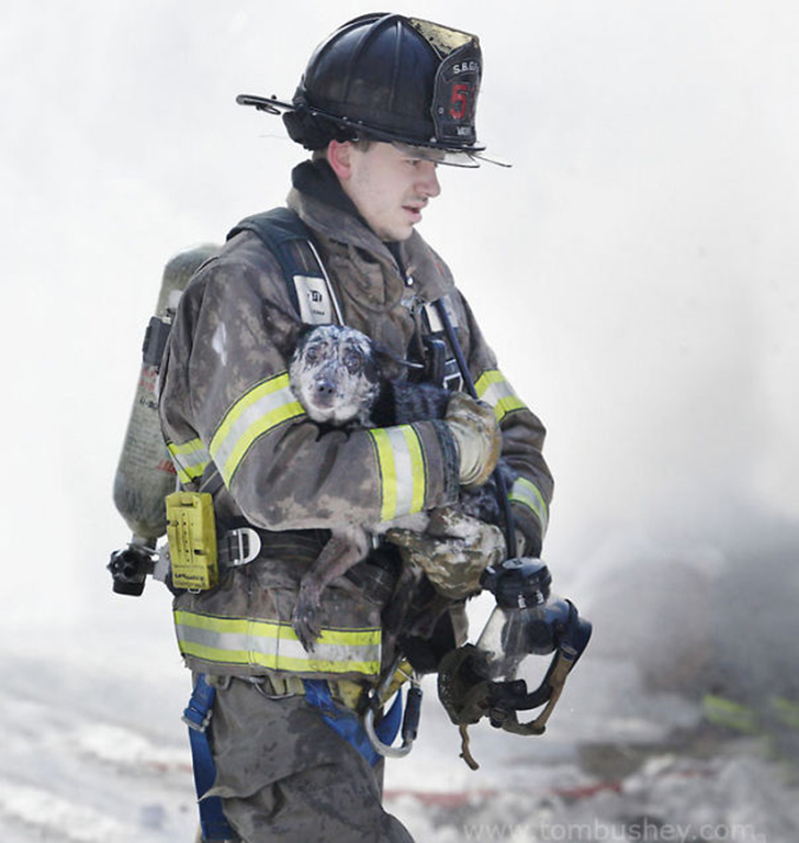 Фотография: Отважные пожарные, рискнувшие жизнью ради спасения животных №19 - BigPicture.ru