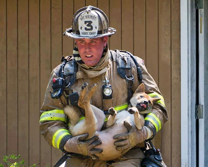 Фотография: Отважные пожарные, рискнувшие жизнью ради спасения животных №21 - BigPicture.ru