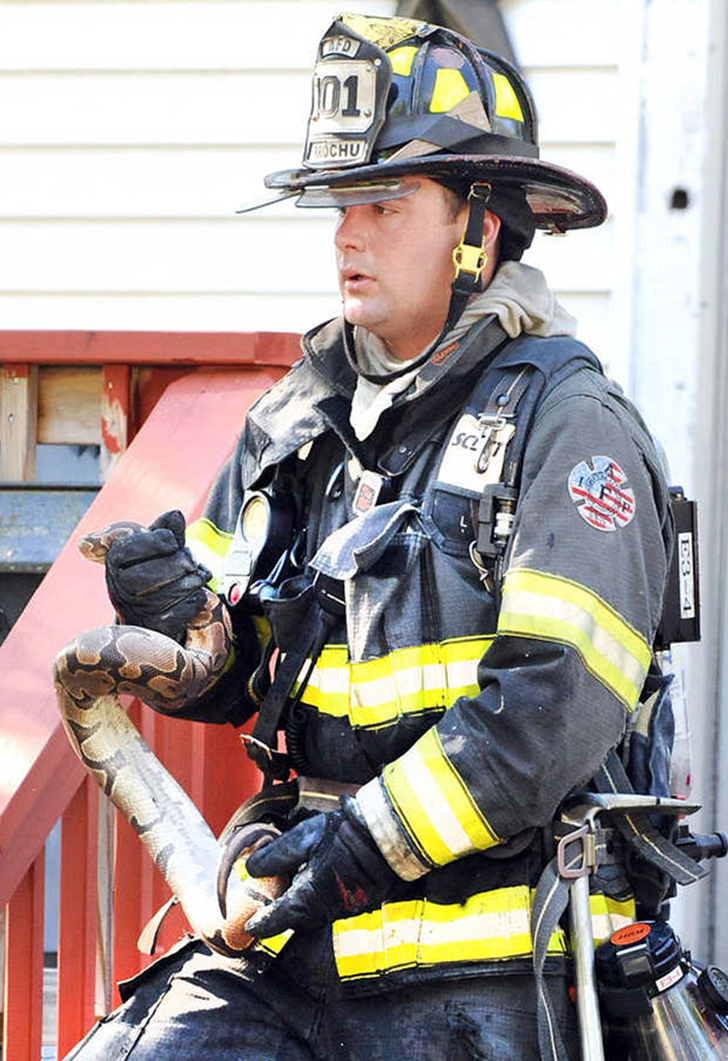 Отважные пожарные, рискнувшие жизнью ради спасения животных