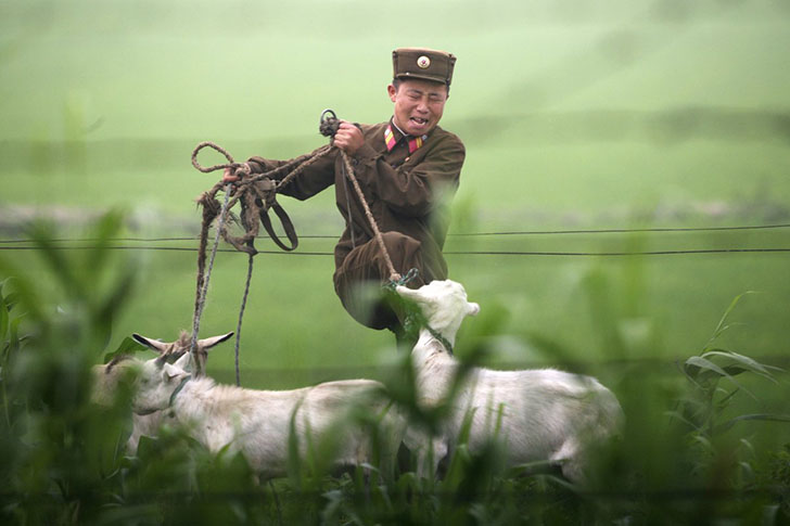 Фотография: Совершенно секретная повседневная жизнь армии Северной Кореи №22 - BigPicture.ru