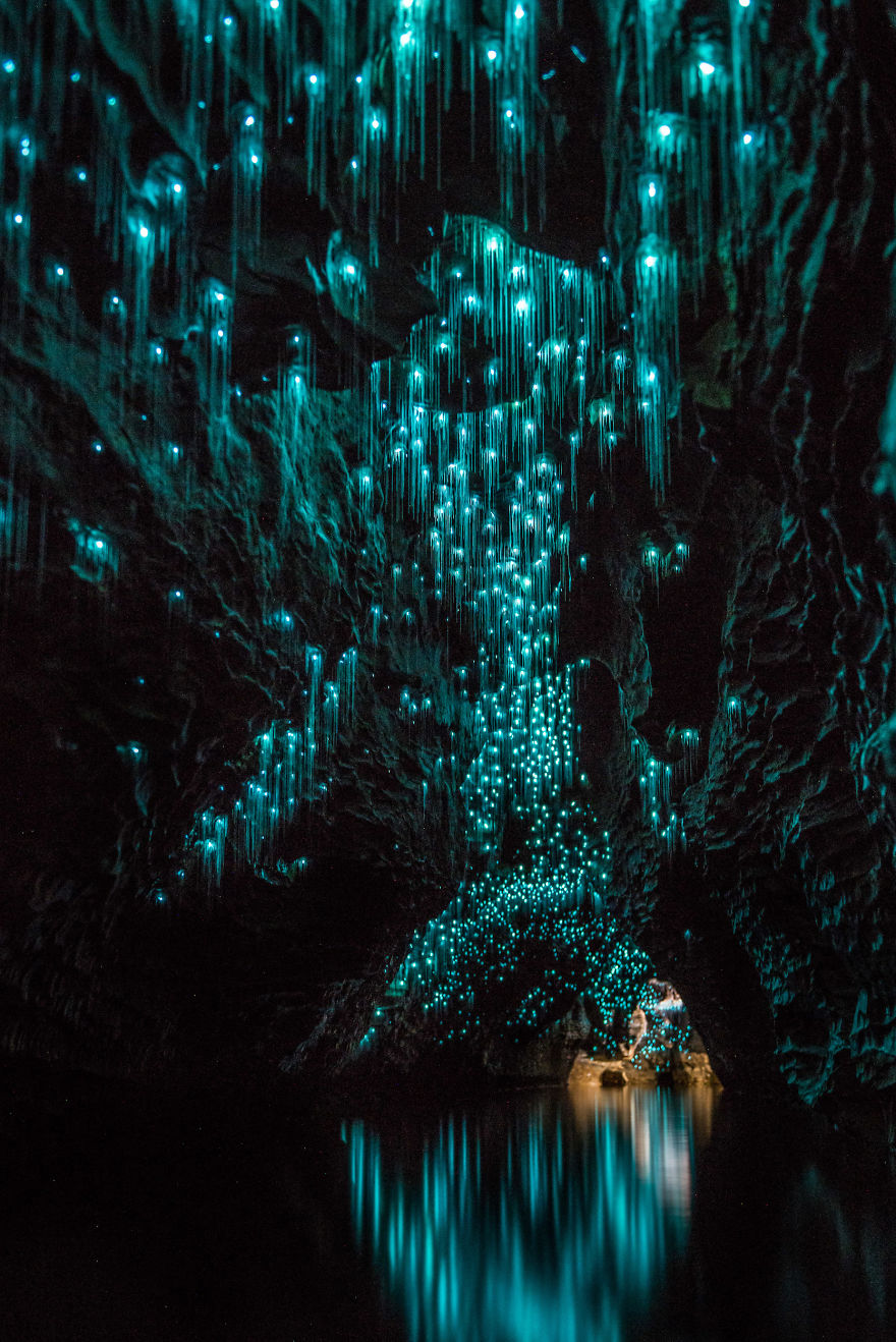 Фотография: Фотограф снял звездное небо из светлячков в новозеландской пещере №3 - BigPicture.ru
