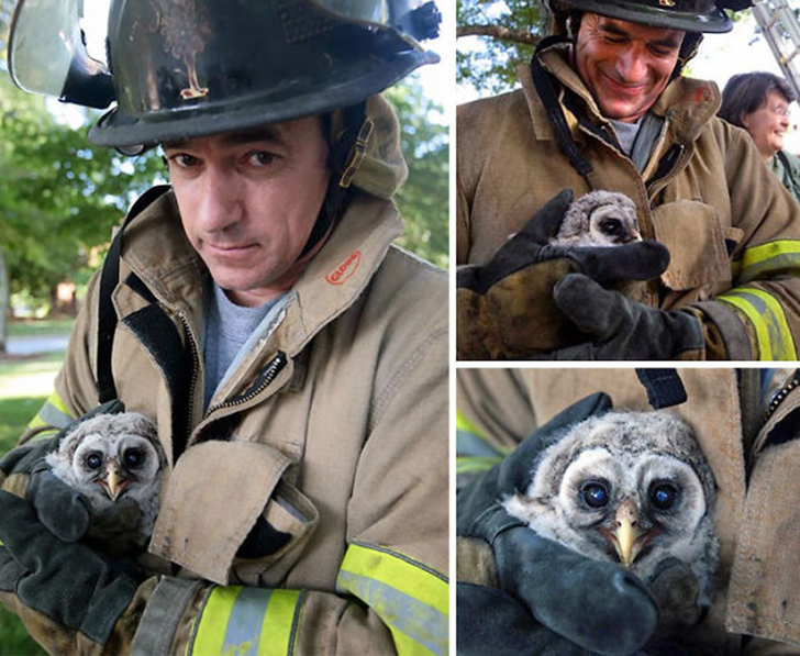 Фотография: Отважные пожарные, рискнувшие жизнью ради спасения животных №4 - BigPicture.ru