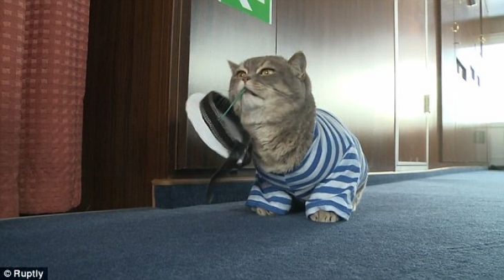 Фотография: Замурчательный речной круиз с котом за штурвалом №8 - BigPicture.ru
