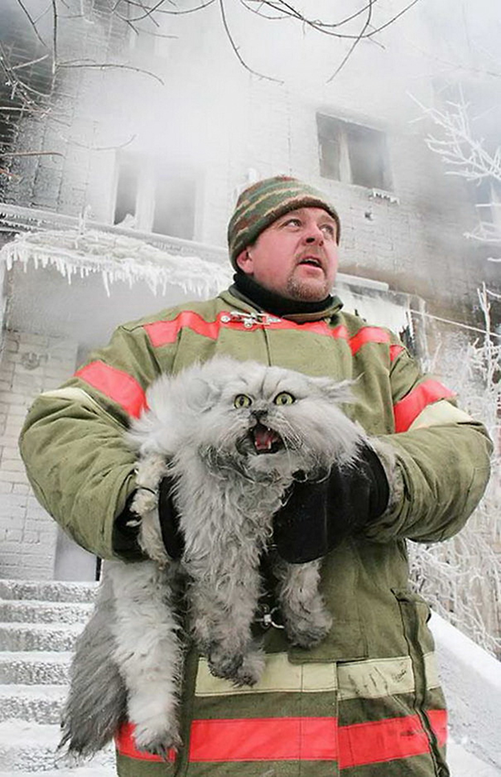 Фотография: Отважные пожарные, рискнувшие жизнью ради спасения животных №5 - BigPicture.ru
