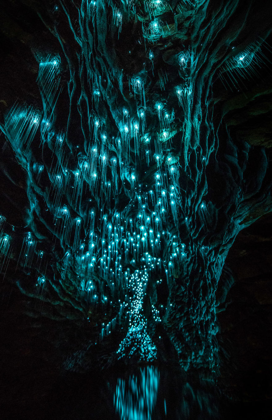 Фотография: Фотограф снял звездное небо из светлячков в новозеландской пещере №5 - BigPicture.ru