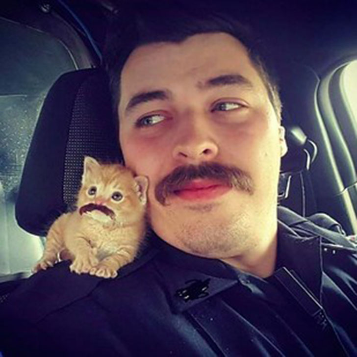 Фотография: Коп из Южной Каролины спас котенка и взял его в напарники №8 - BigPicture.ru