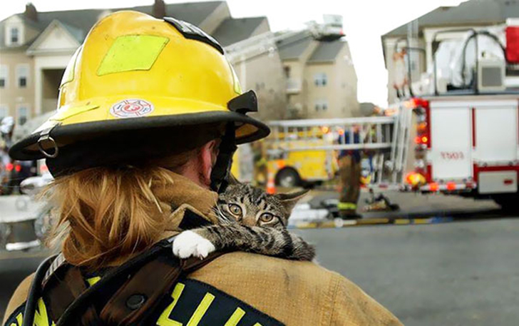 Фотография: Отважные пожарные, рискнувшие жизнью ради спасения животных №8 - BigPicture.ru