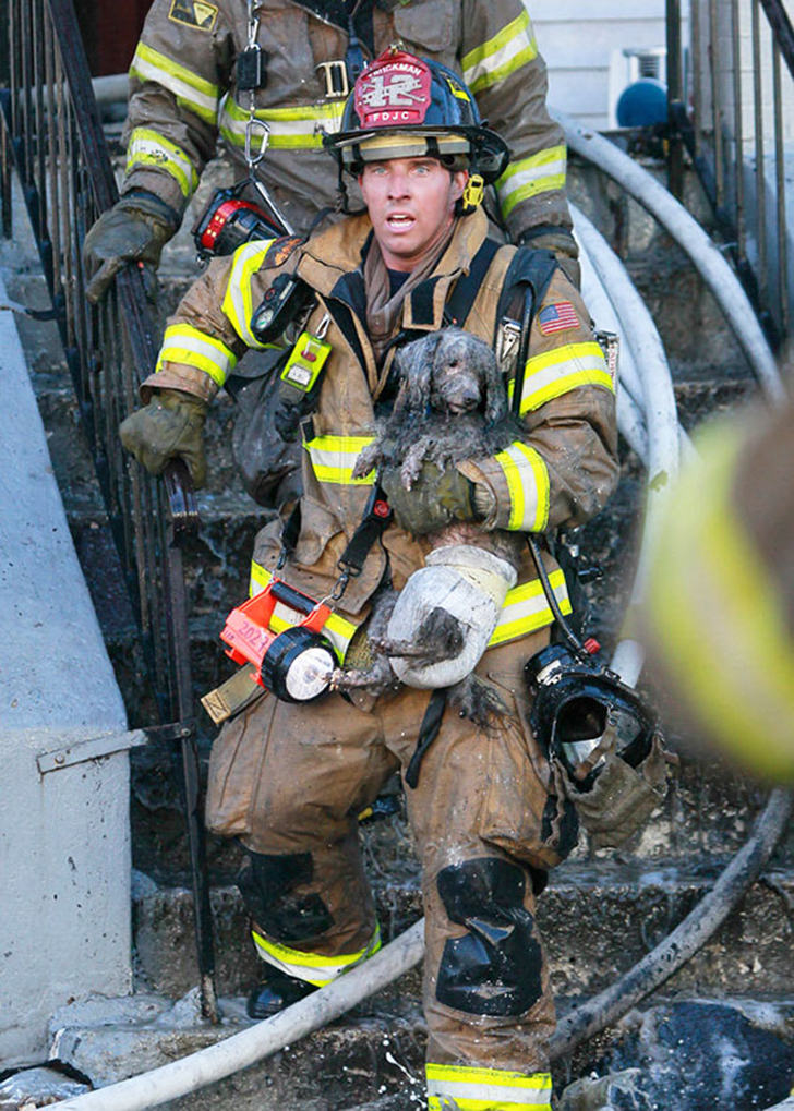 Фотография: Отважные пожарные, рискнувшие жизнью ради спасения животных №10 - BigPicture.ru