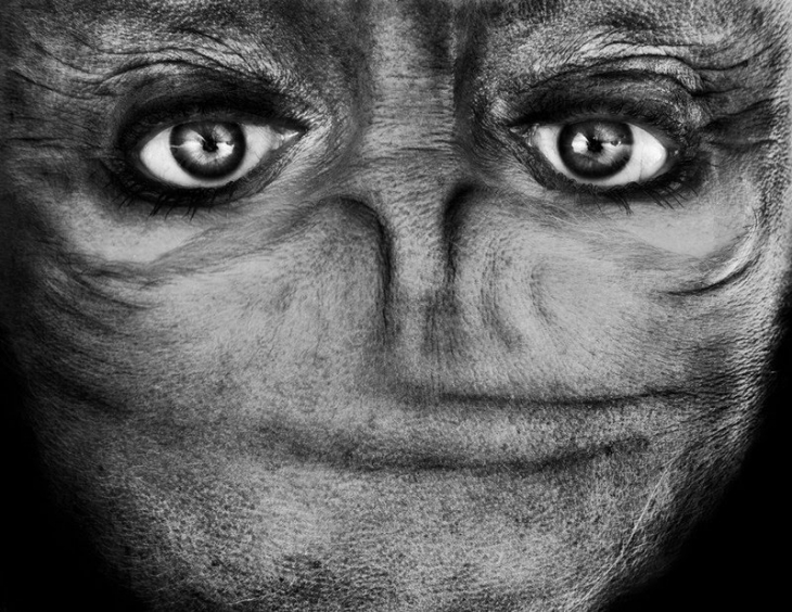 Фотография: Пришельцы среди нас: Перевернутое лицо, которое напоминает инопланетянина №10 - BigPicture.ru