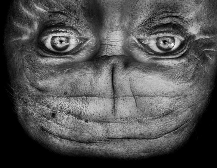 Фотография: Пришельцы среди нас: Перевернутое лицо, которое напоминает инопланетянина №5 - BigPicture.ru
