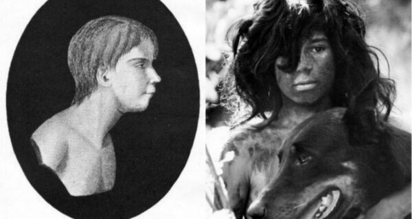 Самые известные дети-маугли: Как сложились судьбы малышей, которые выросли среди животных