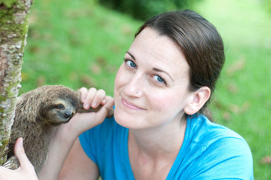 Фотография: Ученые из Коста-Рики заботятся о маленьких ленивцах, заменяя им родных мам №2 - BigPicture.ru