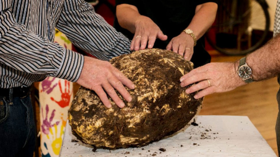 Фотография: В ирландском болоте нашли 10-килограммовый кусок масла возрастом 2000 лет №1 - BigPicture.ru