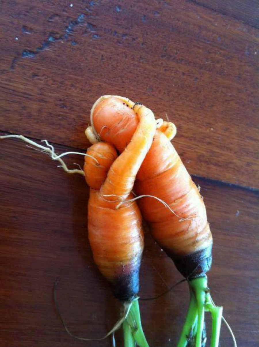 Фотография: Что выросло, то выросло: самые неожиданные формы овощей и фруктов №3 - BigPicture.ru