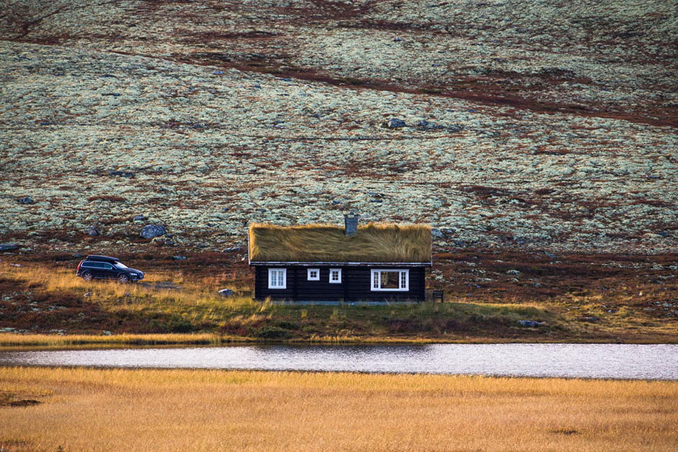 Фотография: Скандинавские домики с заросшей крышей, в которых хочется поселиться немедленно №27 - BigPicture.ru
