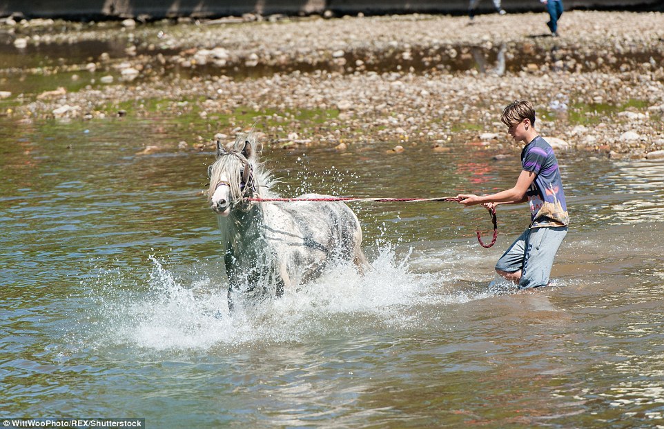 Фотография: Смешались в кучу кони, люди: что творят тысячи цыган на конной ярмарке в Эпплби №16 - BigPicture.ru
