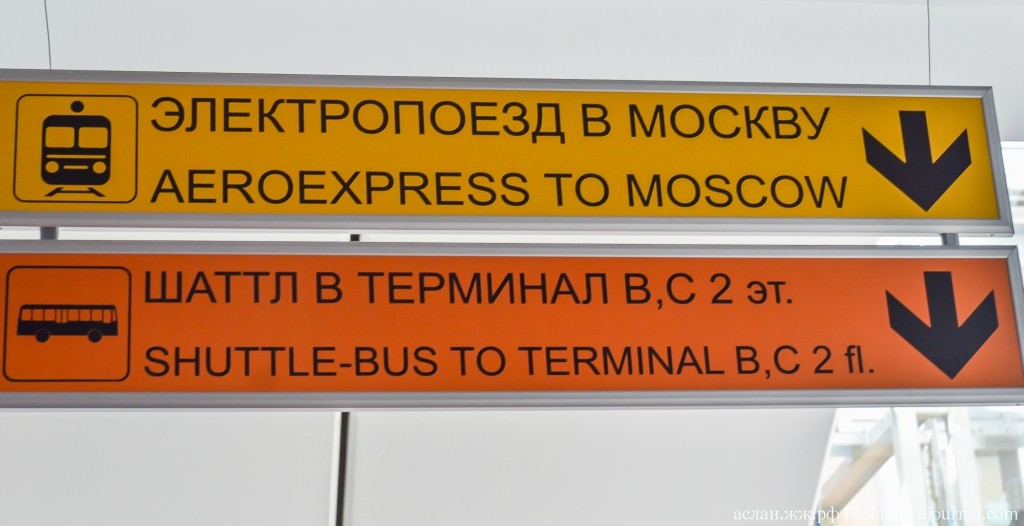 Фотография: Как работает аэропорт Шереметьево №4 - BigPicture.ru