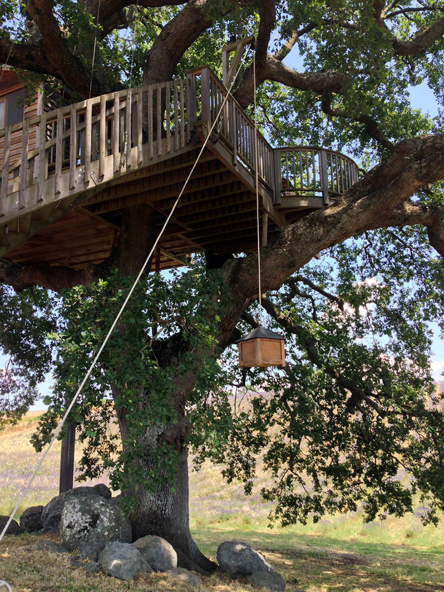 Фотография: Ради этого домика на дереве вы бросите все и переедете в Тоскану №7 - BigPicture.ru