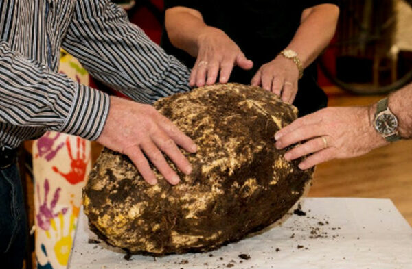 В ирландском болоте нашли 10-килограммовый кусок масла возрастом 2000 лет