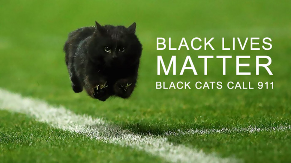 Фотография: Черный кот выскочил на поле во время матча по регби и стал героем фотожаб №13 - BigPicture.ru