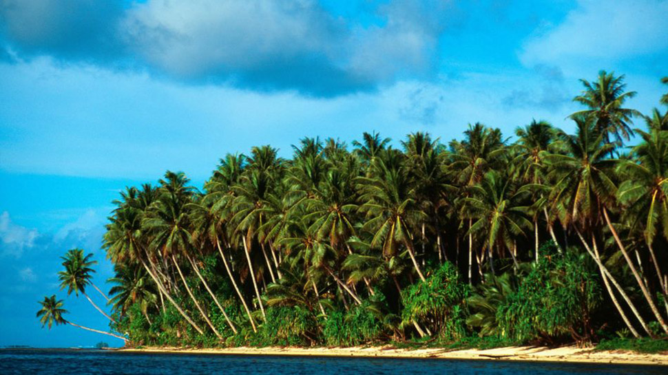 Фотография: Австралиец выиграл тропический остров в онлайн-лотерее №2 - BigPicture.ru
