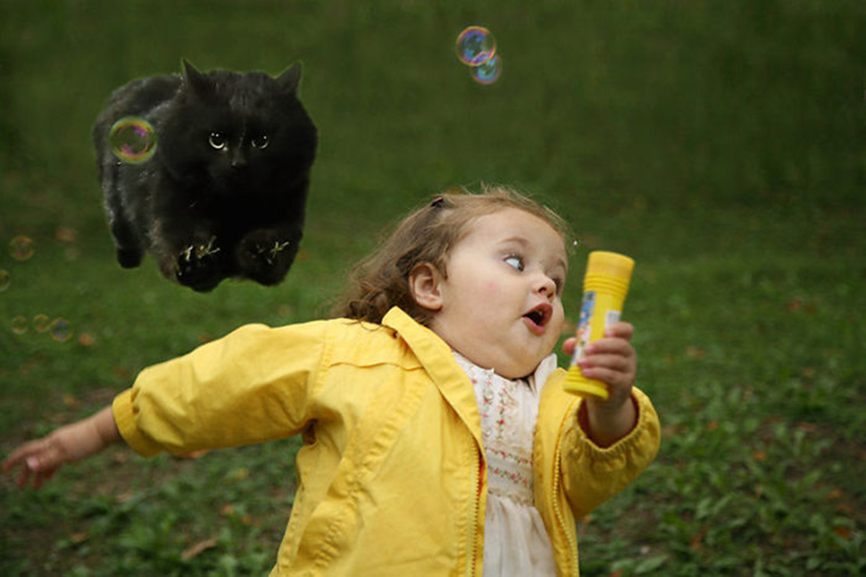 Фотография: Черный кот выскочил на поле во время матча по регби и стал героем фотожаб №20 - BigPicture.ru