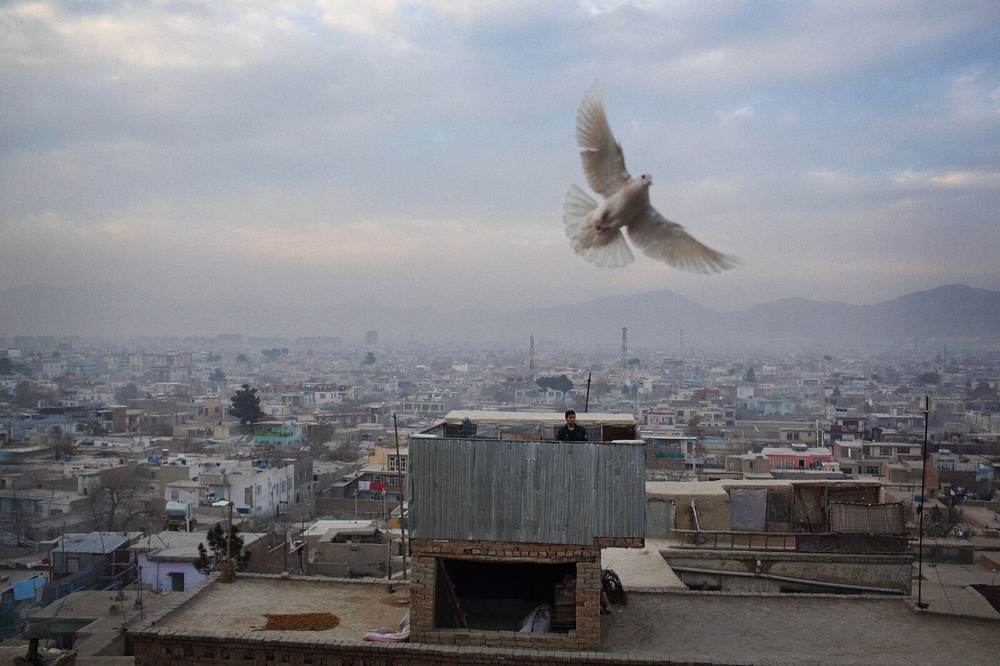 Фотография: Еще один день войны в Афганистане №2 - BigPicture.ru