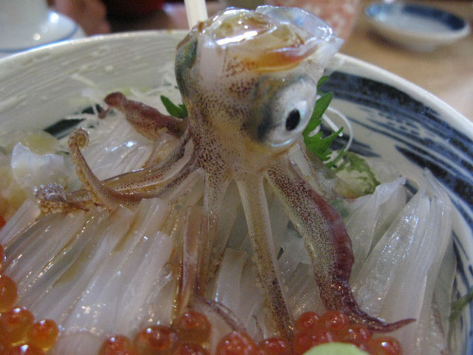 Фотография: Блюда японской кухни, от которых у вас пропадет аппетит №3 - BigPicture.ru