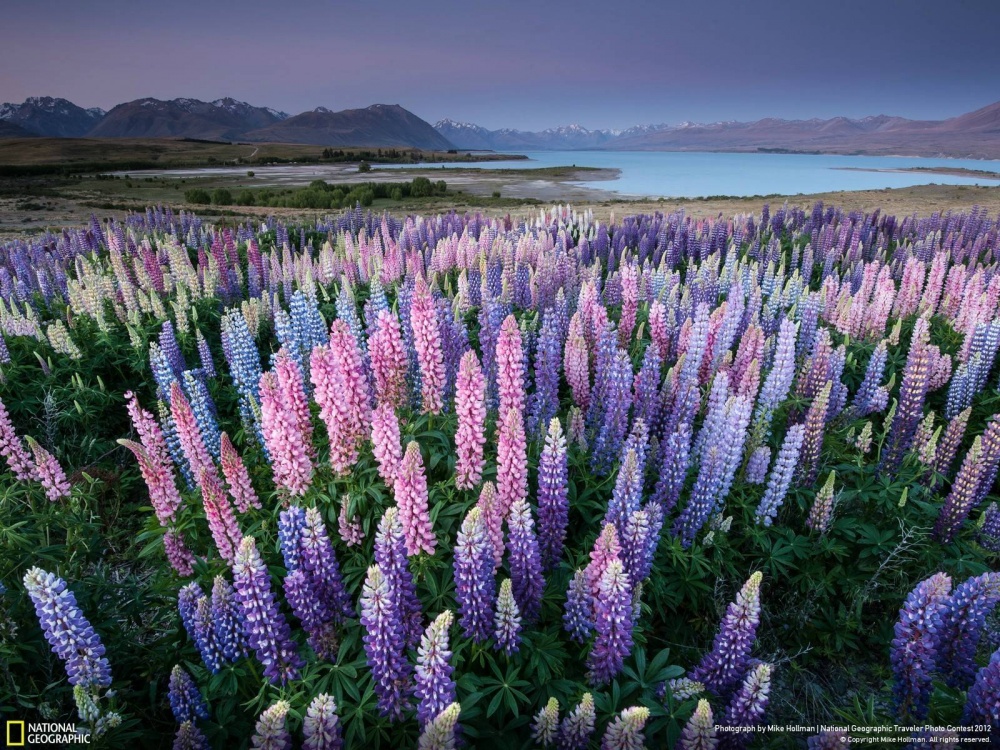Фотография: 14 фотографий, с которыми вы откроете для себя волшебную природу Новой Зеландии №2 - BigPicture.ru