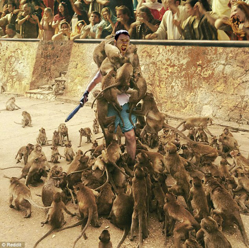 Фотография: Роковая ошибка: турист решил покормить обезьян и стал героем интернет-мемов №3 - BigPicture.ru