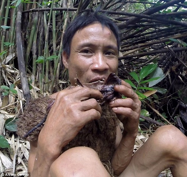 Фотография: Вьетнамец 41 год спасался в джунглях от войны №4 - BigPicture.ru