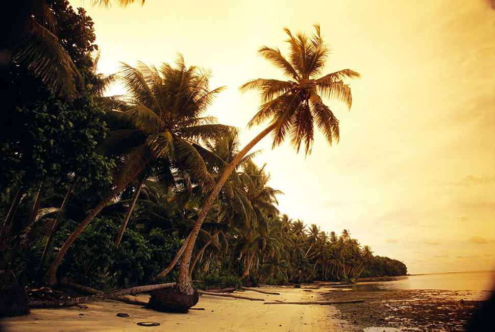 Фотография: Австралиец выиграл тропический остров в онлайн-лотерее №5 - BigPicture.ru