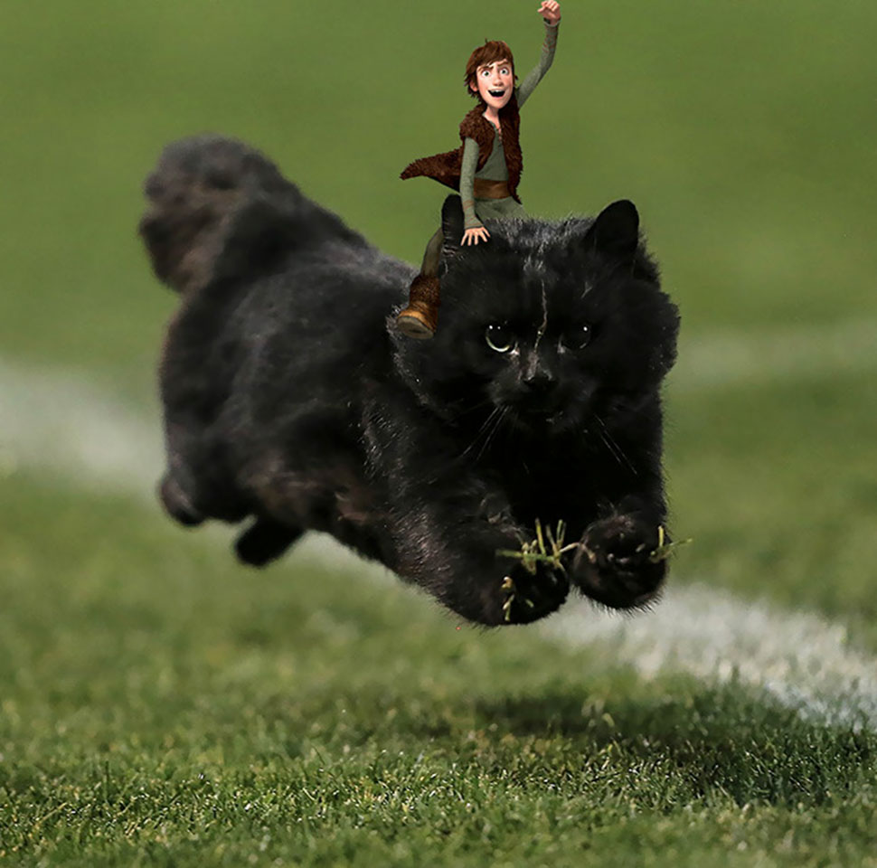 Фотография: Черный кот выскочил на поле во время матча по регби и стал героем фотожаб №6 - BigPicture.ru
