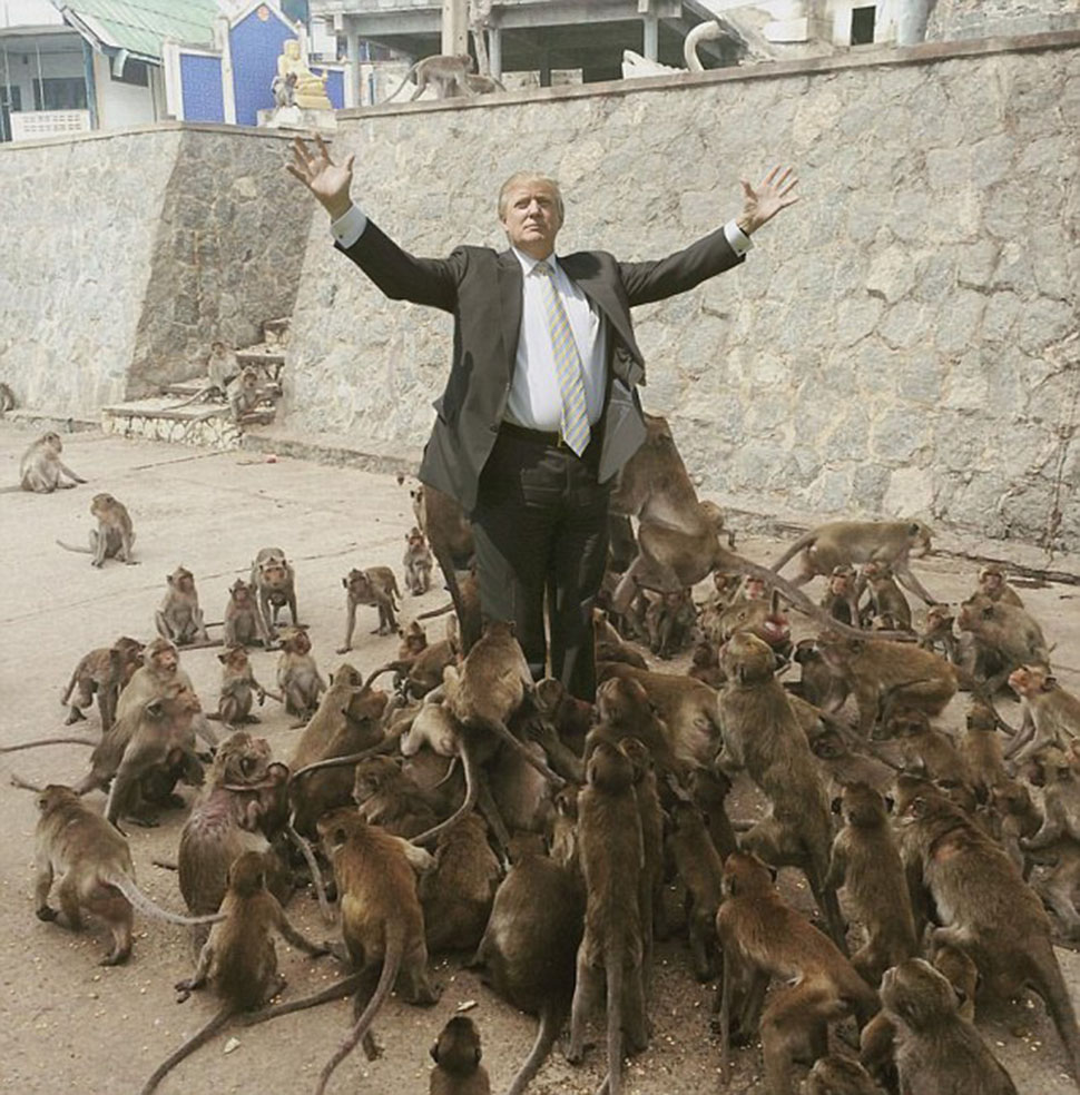 Фотография: Роковая ошибка: турист решил покормить обезьян и стал героем интернет-мемов №9 - BigPicture.ru