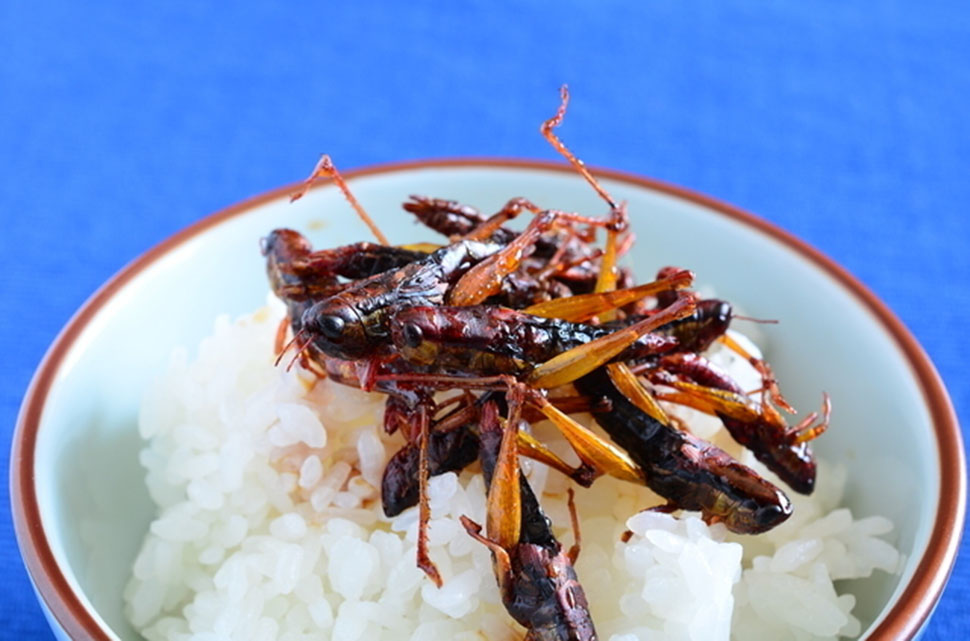 Фотография: Блюда японской кухни, от которых у вас пропадет аппетит №9 - BigPicture.ru