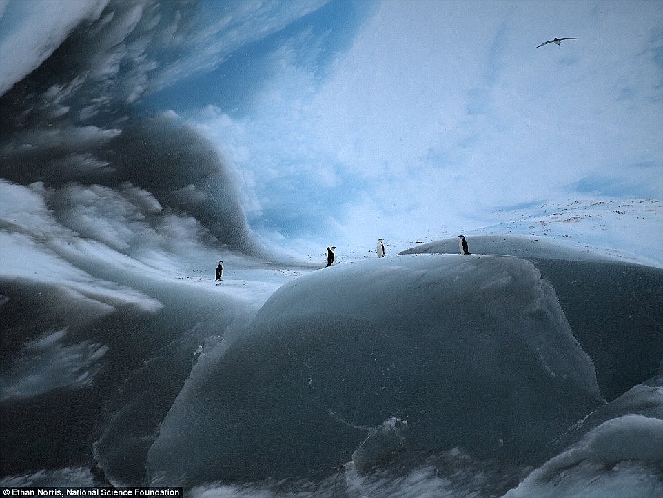 Фотография: Как выглядят самые древние в мире айсберги №11 - BigPicture.ru
