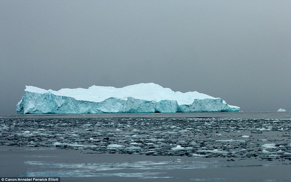 Фотография: Как выглядят самые древние в мире айсберги №12 - BigPicture.ru